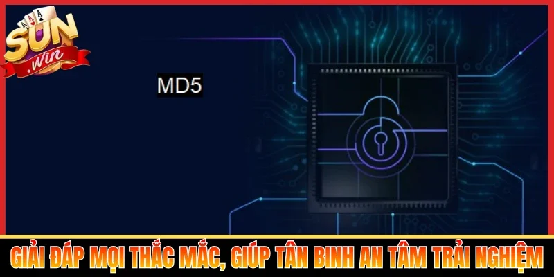 Giải đáp mọi thắc mắc, giúp tân binh an tâm trải nghiệm